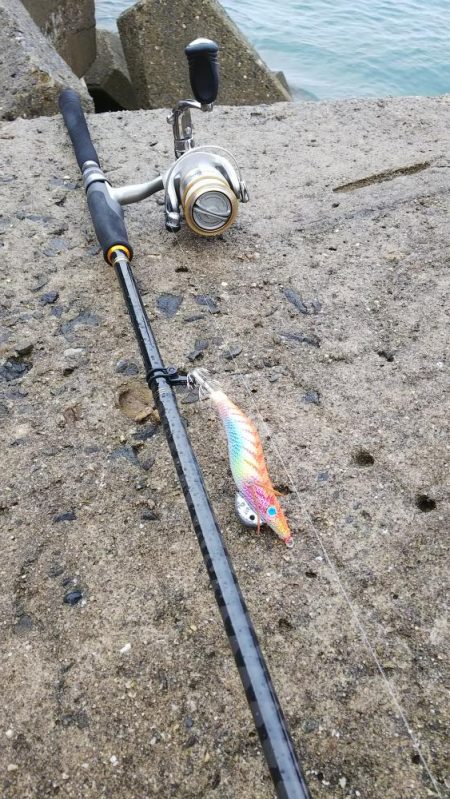 teamゲッソー調査隊