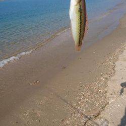 暑い！渋い‼でもキレイ❗