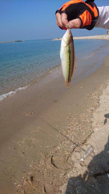 暑い！渋い‼でもキレイ❗
