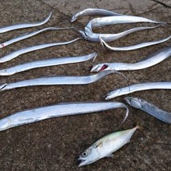 刀狩り、、からの？