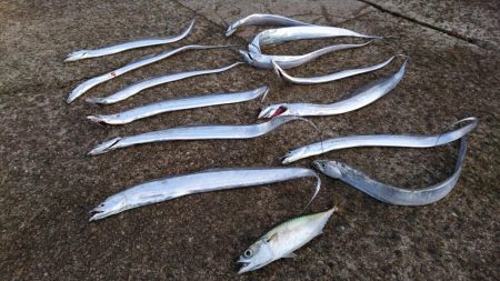 刀狩り、、からの？