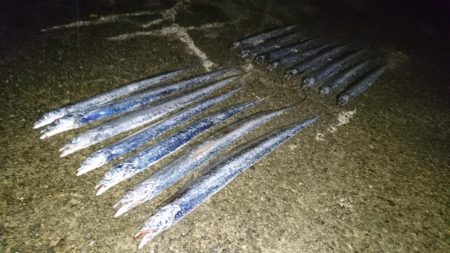 ケーソンタチウオ