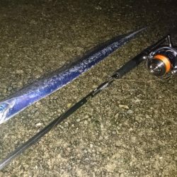 タチウオちょい渋