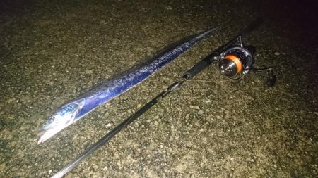 タチウオちょい渋