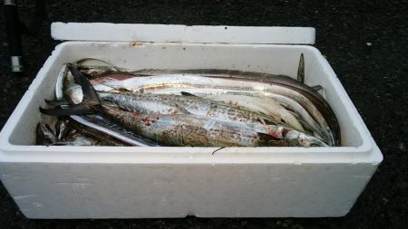 タチウオ　初ツヌケ