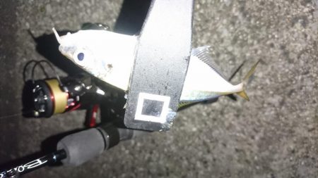 ちょい渋アジング