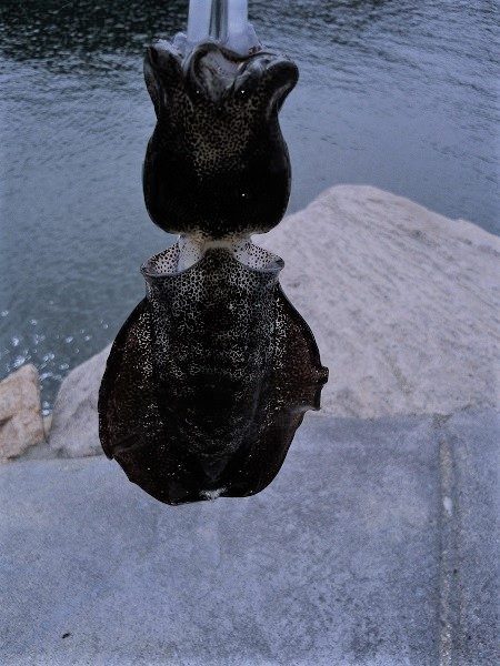 トップでツバス2連発するも・・・