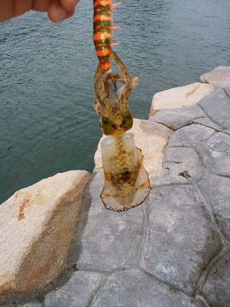 時合がハッキリしています