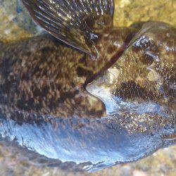 波があるときは釣れやすい！？