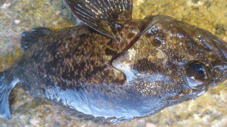 波があるときは釣れやすい！？