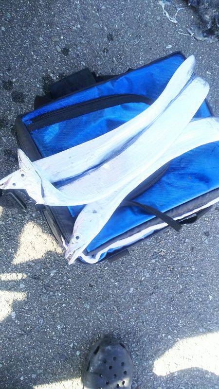 太刀魚ワインド