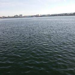 ハマチ　ヒット！