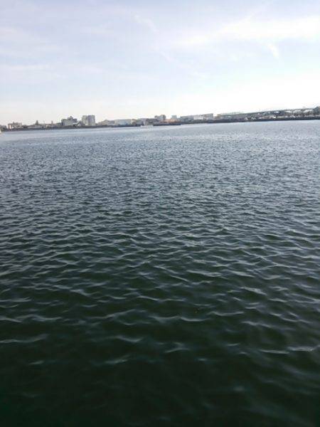 ハマチ　ヒット！