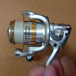 和歌山太刀魚調査