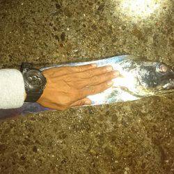 怪物デタ！！！(;°Д°)