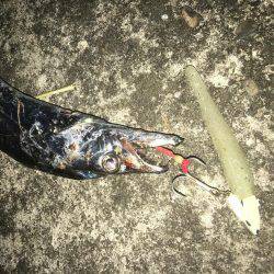 やっぱりルミノーバ!!