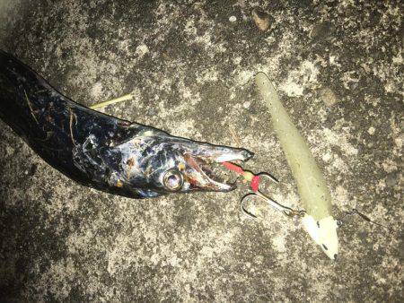 やっぱりルミノーバ!!