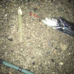 パターンは長めのフォール！もう一度言います長めのフォールです！！