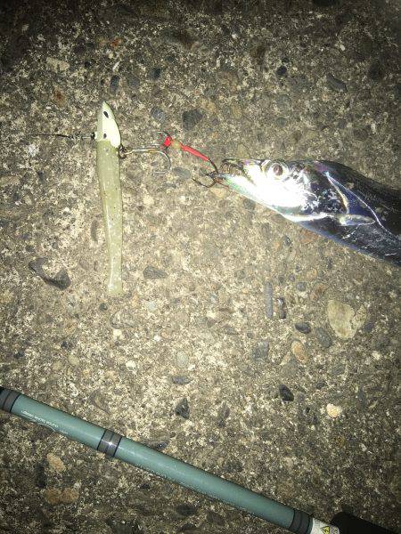 パターンは長めのフォール！もう一度言います長めのフォールです！！