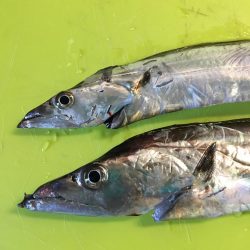 こんなもんでしょ