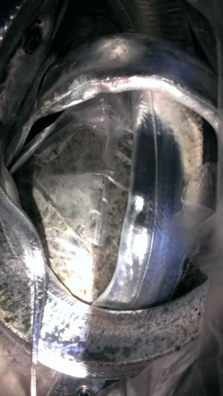 雨のちタチウオ