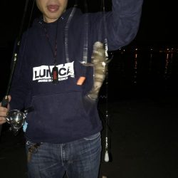 毎度、外道に癒やされる