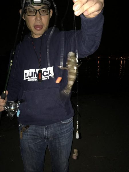 毎度、外道に癒やされる