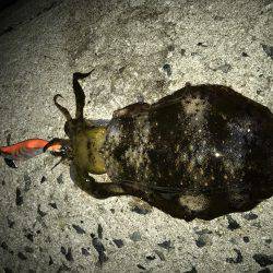 寒気、北風、寒い!