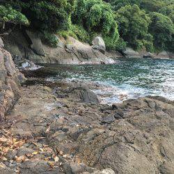 朝夕マズメロング釣行