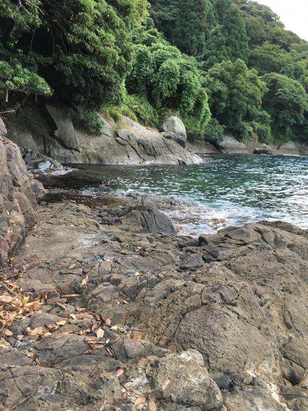 朝夕マズメロング釣行