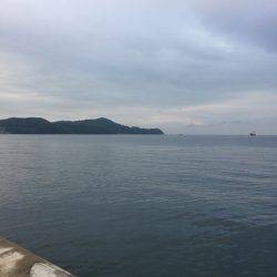 ショアジギング