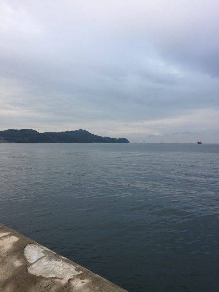 ショアジギング