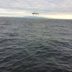 ツバスでしたー