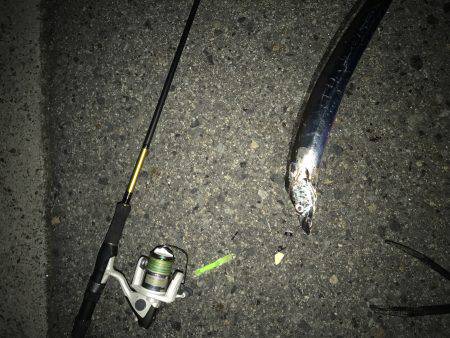 仕事帰りにタチウオ