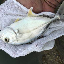 朝夕メッキ三昧