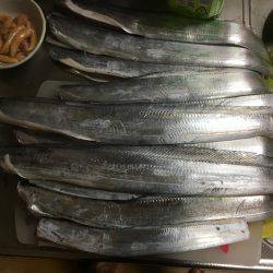 朝練の後の〜仕事帰りの〜夕まずめ♫