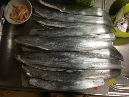 朝練の後の〜仕事帰りの〜夕まずめ♫