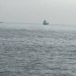 サゴシ♫愛し恋し♫