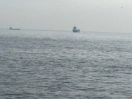 サゴシ♫愛し恋し♫