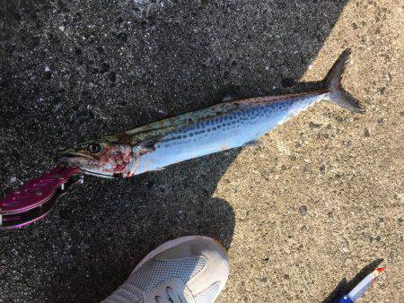 連休は沖堤防で♫