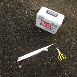 雨にも負けず♫