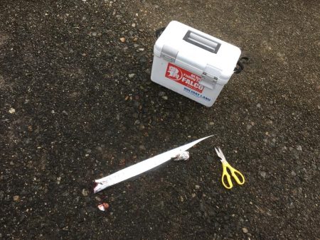 雨にも負けず♫