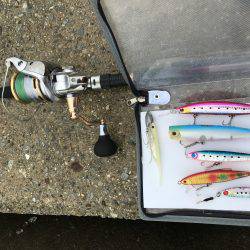 三連チャン初日