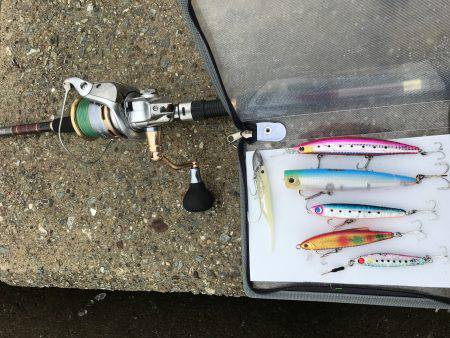 三連チャン初日