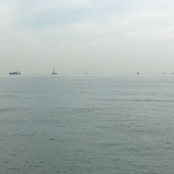 台風後の朝練♫