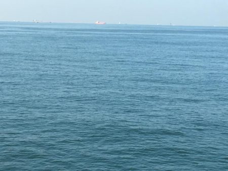 短時間でサワラゲット♫