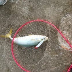 1日オフなので第2ラウンド♫