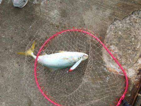 1日オフなので第2ラウンド♫