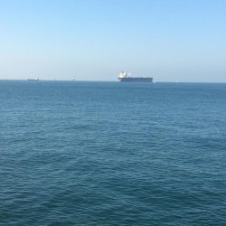 釣れてる時は朝練頑張りますよ♫