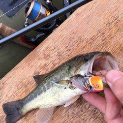 一庫 ボート釣行